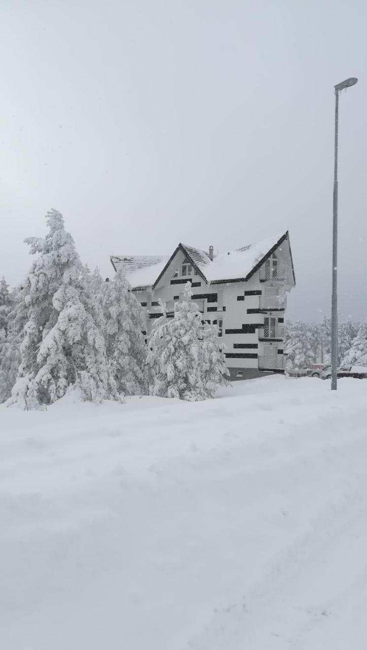 Apartment Triangle Divčibare Eksteriør billede